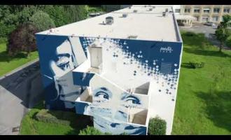 galerie-LES FRESQUES HIRSONNAISES : UN ENGAGEMENT ARTISTIQUE.